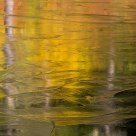 Frozen Fall Reflections