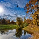 Autumn 2011