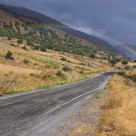 After rain...