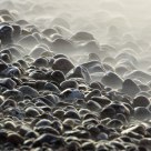 Beach pebbles