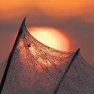 Sun-trap