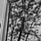 Dirty Window