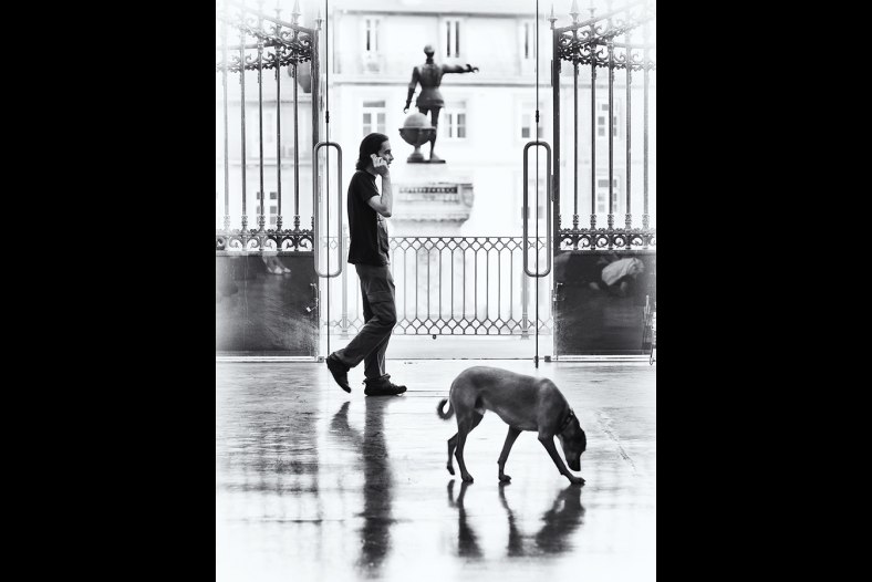 Man, statue and dog