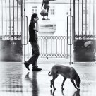 Man, statue and dog