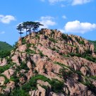 Huachangyu