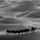 Caravan