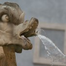Water shoot