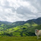 Above Derwent, from Cat Bells, Lake District