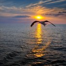 Valaam Islands Sunset