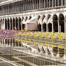 Reflections