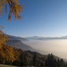 Misty day over Lake Geneva
