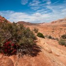 Painted Desert