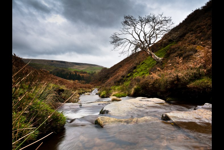 Fairbrook