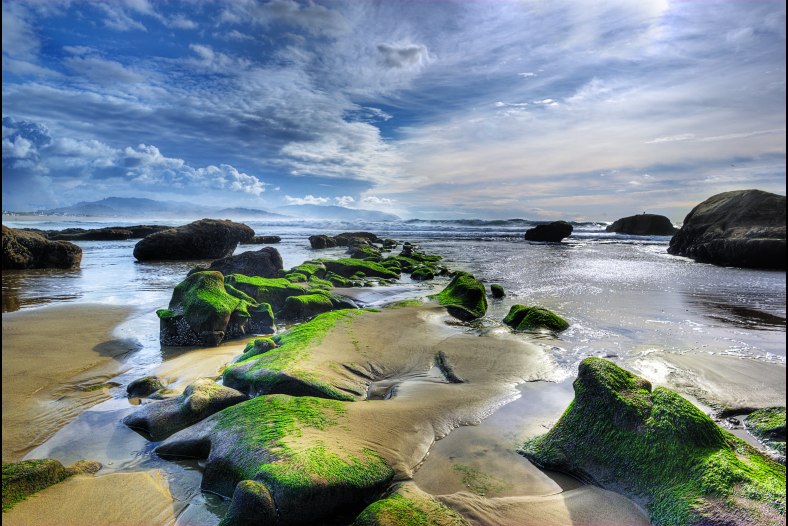 Cape Kiwanda