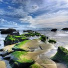 Cape Kiwanda