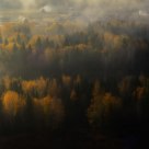 Misty Morning
