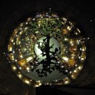 Tree of Life II