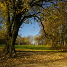 Fall in woluwe parc
