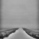 A simple fog filled photo 