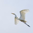 Full-Power Takeoff