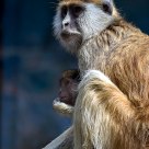 Mother & Child