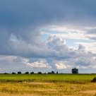 Farming field