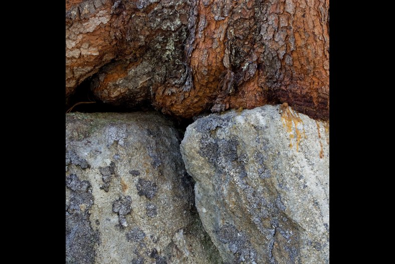 wood on stone