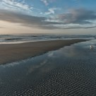 Blue Morning