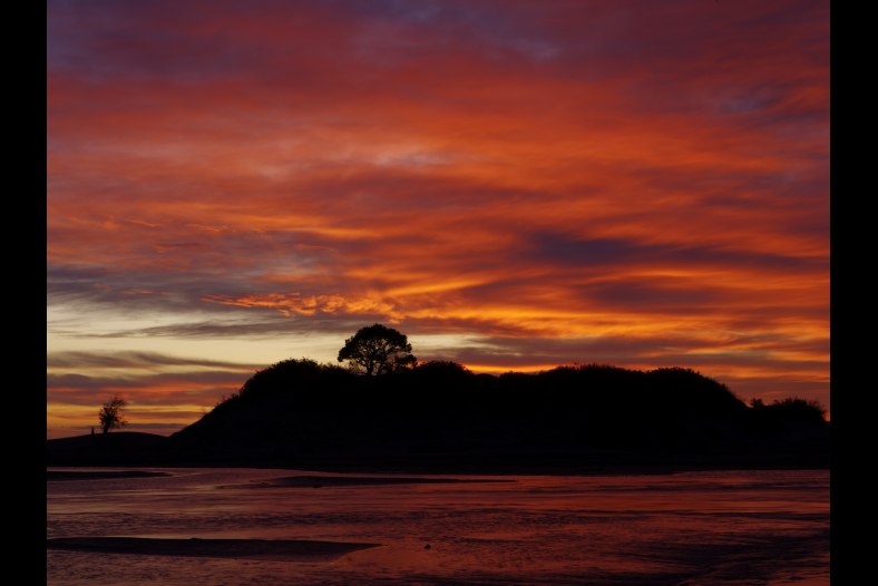 Dawn