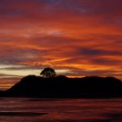 Dawn