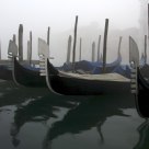 Venice fog 2