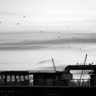 Brigthon Pier in B&N
