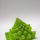 Romanesco Broccoli