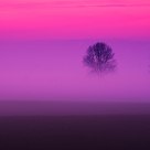 November sunset