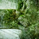 On an abandoned cementary
