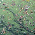 Flood