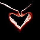 The heart