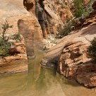 Spring Creek