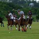 Polo at the Clifton Polo Ground: Kenya vs. Barbados 