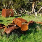 Percy's Ute