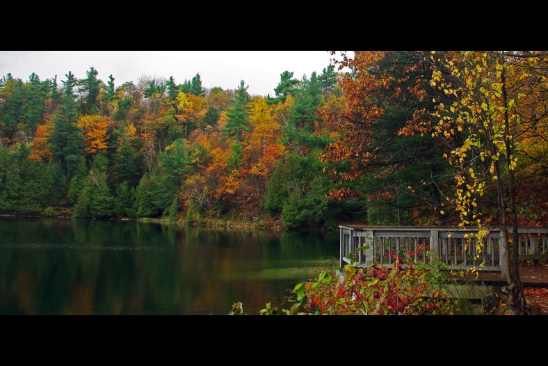 Pink Lake