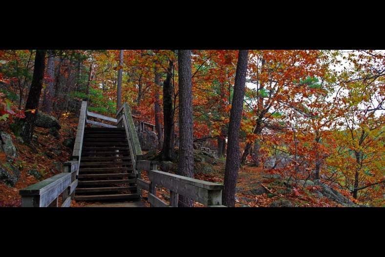 Fall in Gatineau Park
