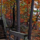 Fall in Gatineau Park