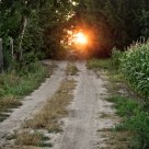 Dawn