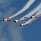 AT 6 Texan
