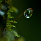 Small World