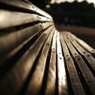 Sunset in the park