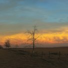 Chinook over the prairies 
