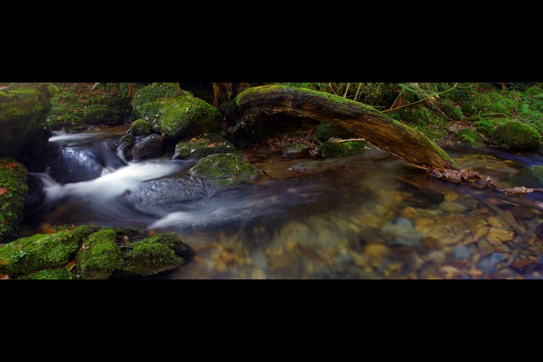The backwater