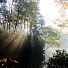 Autumn wonders